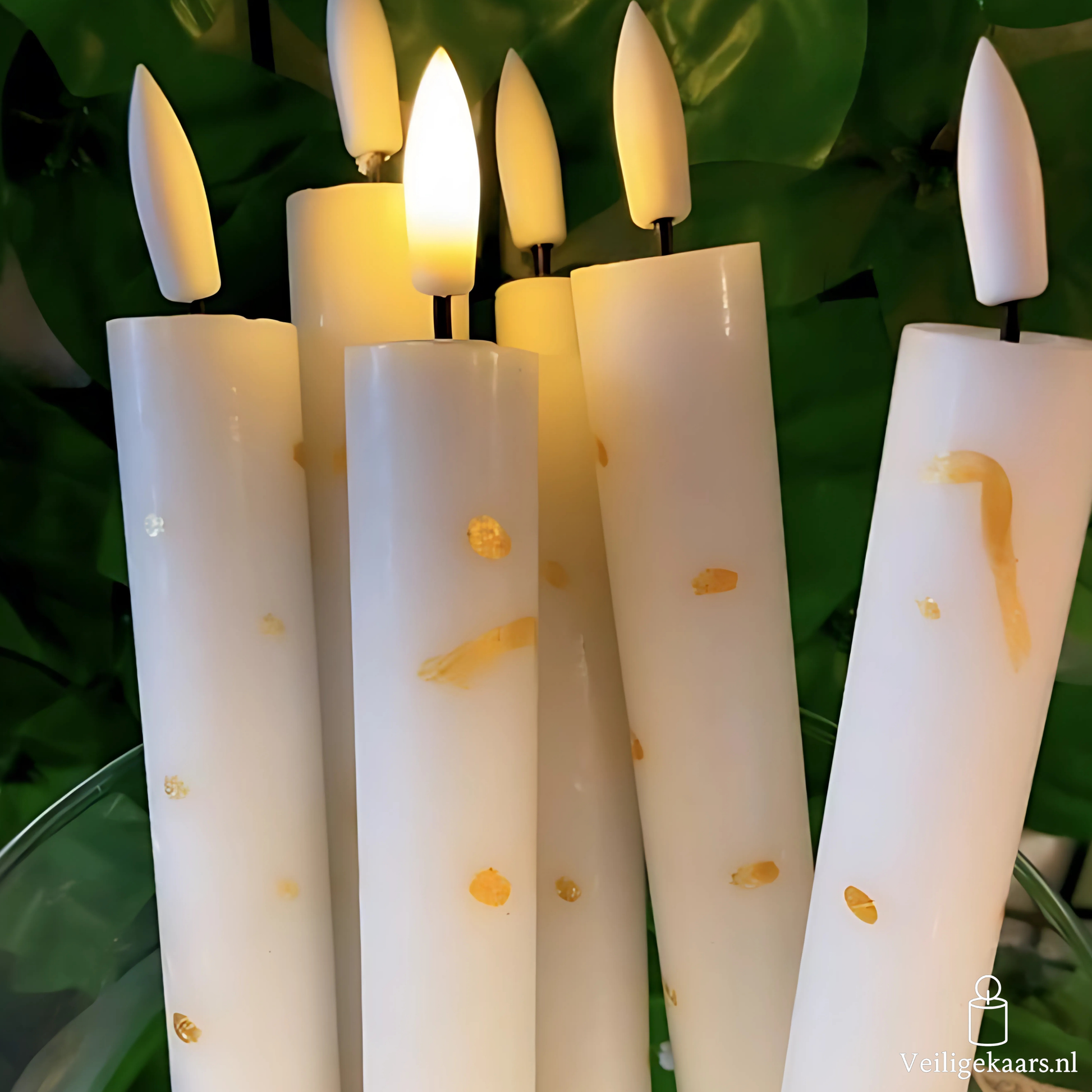 Gold White Dots (set van 2)